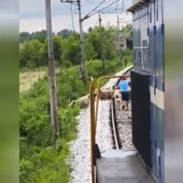 Koja je tajna sporih vlakova u Hrvatskoj: Kada pogledate snimku sve će vam biti jasno