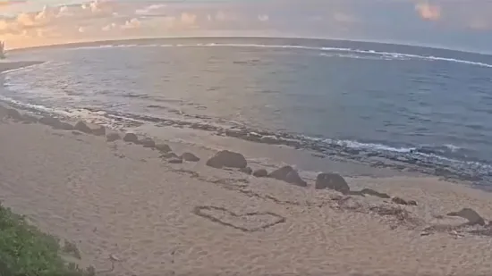 Pogledajte što su snimile kamere pred dolazak cunamija. Zašto se to događa?