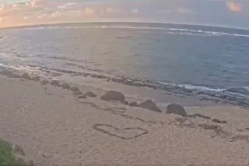 Pogledajte što su snimile kamere pred dolazak cunamija. Zašto se to događa?
