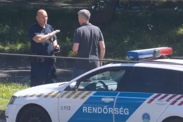 Dječak nožem izbo majku i baku pa sam pozvao policiju: 'Ubio sam je'