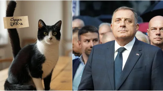 Objavili sliku mačke i poslali znakovitu poruku o Dodiku: 'Vidimo se...'