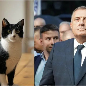 Objavili sliku mačke i poslali znakovitu poruku o Dodiku: 'Vidimo se...'