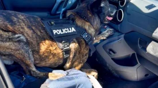 Ares nanjušio sumnjivi paket u Peugeotu: Pazite što je vozač skrivao na mjestu zračnog jastuka