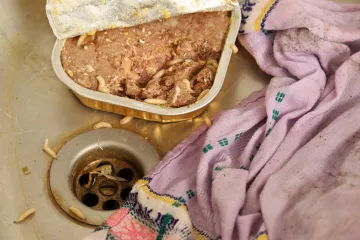 Crvi su vam okupirali dom? Stručnjaci objasnili kako ih se učinkovito možete riješiti