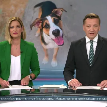 Europa kreće u zabranu neprirodnog križanja pasa
