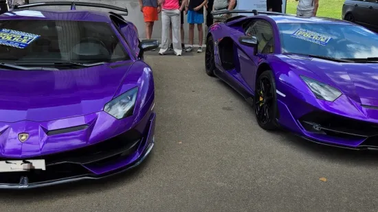 Zaplijenili luksuzne superautomobile, i ljubičasti Lamborghini ostao bez vlasnika
