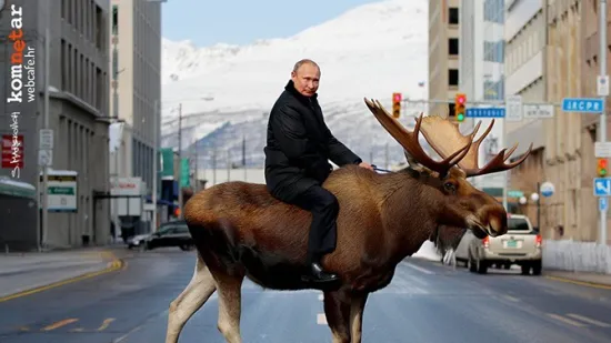 Hop-on Moose