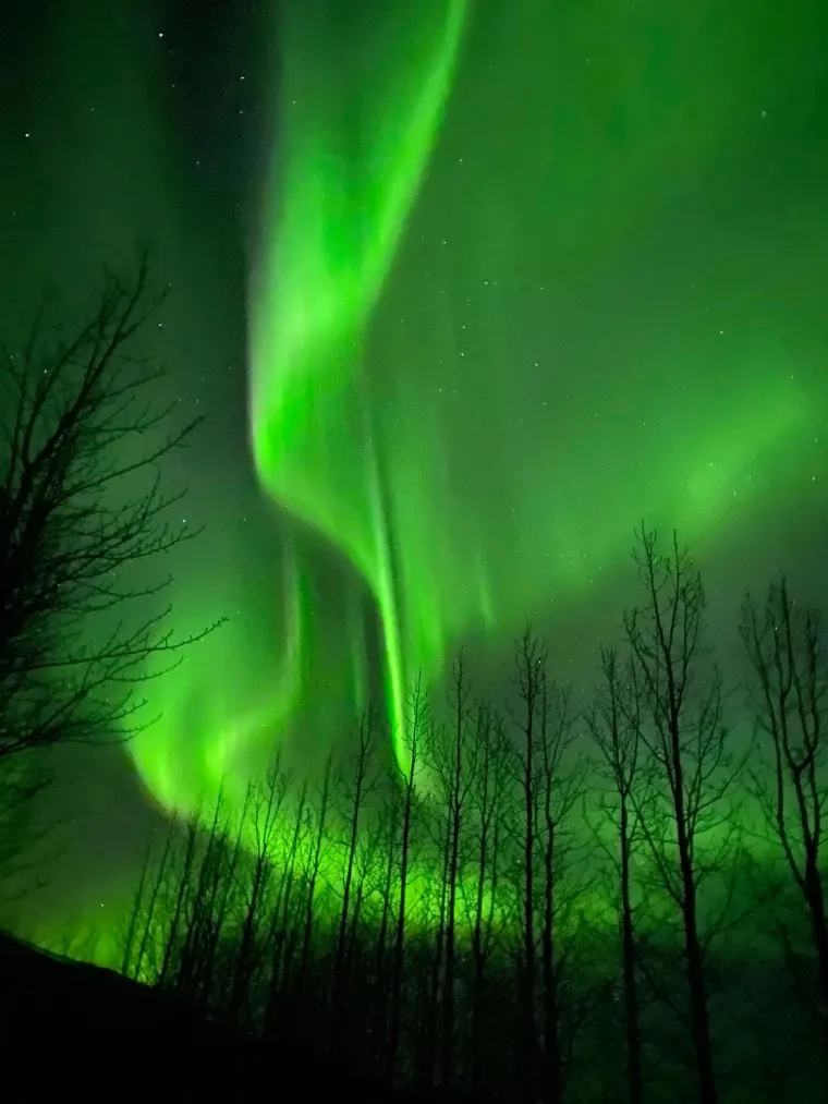 Rade u čarapama, zbog mamurluka ne moraju na posao: 'Odmah su mi rekli - nisi ti za Island'