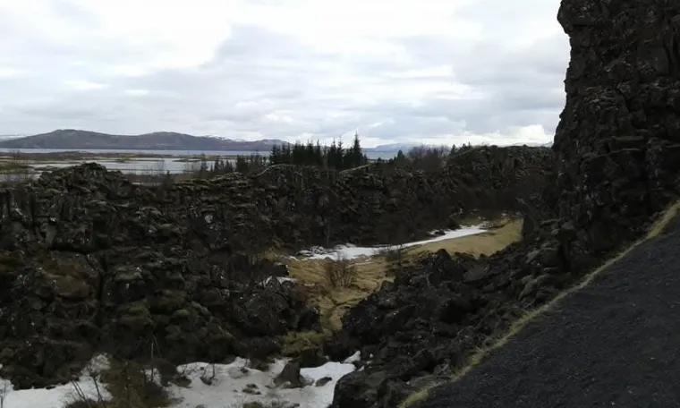 Rade u čarapama, zbog mamurluka ne moraju na posao: 'Odmah su mi rekli - nisi ti za Island'