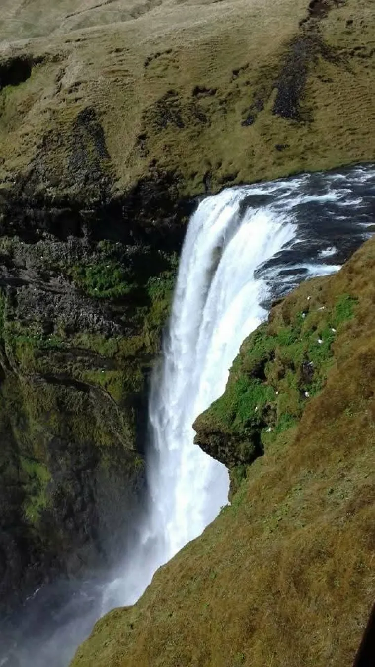 Rade u čarapama, zbog mamurluka ne moraju na posao: 'Odmah su mi rekli - nisi ti za Island'