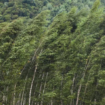 [KVIZ] Koliko znate o vjetrovima?