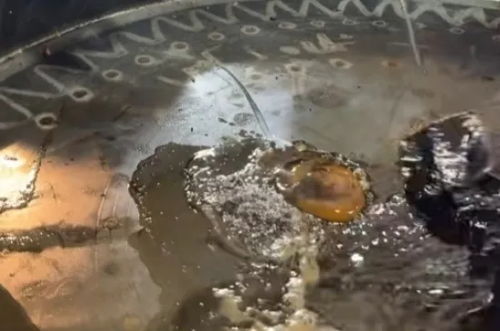 Malo ulične hrane za sve sklone avanturi