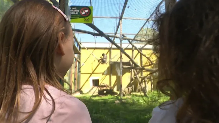 Obitelji pohrlile u osječki Zoo: 'S ovim smo na četvrtini cjelogodi&scaron;njeg prometa'