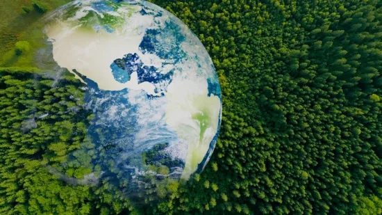 Nemojte zabrljati na ovom kvizu: Svaki stanovnik Zemlje trebao bi znati sljedeće činjenice