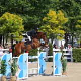 Grand Prix i utakmica Pehar Grada Zagreba: Natjecatelji iz vi&scaron;e od 15 europskih zemalja stižu na Hipodrom