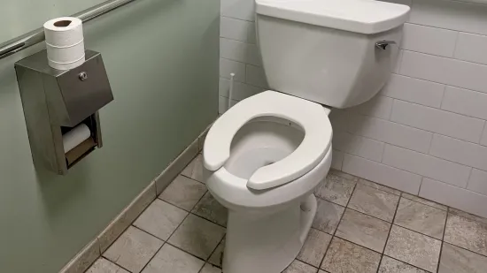 Znate li za&scaron;to su pojedine daske na WC &scaron;koljkama ovako dizajnirane? Priča itekako ima smisla