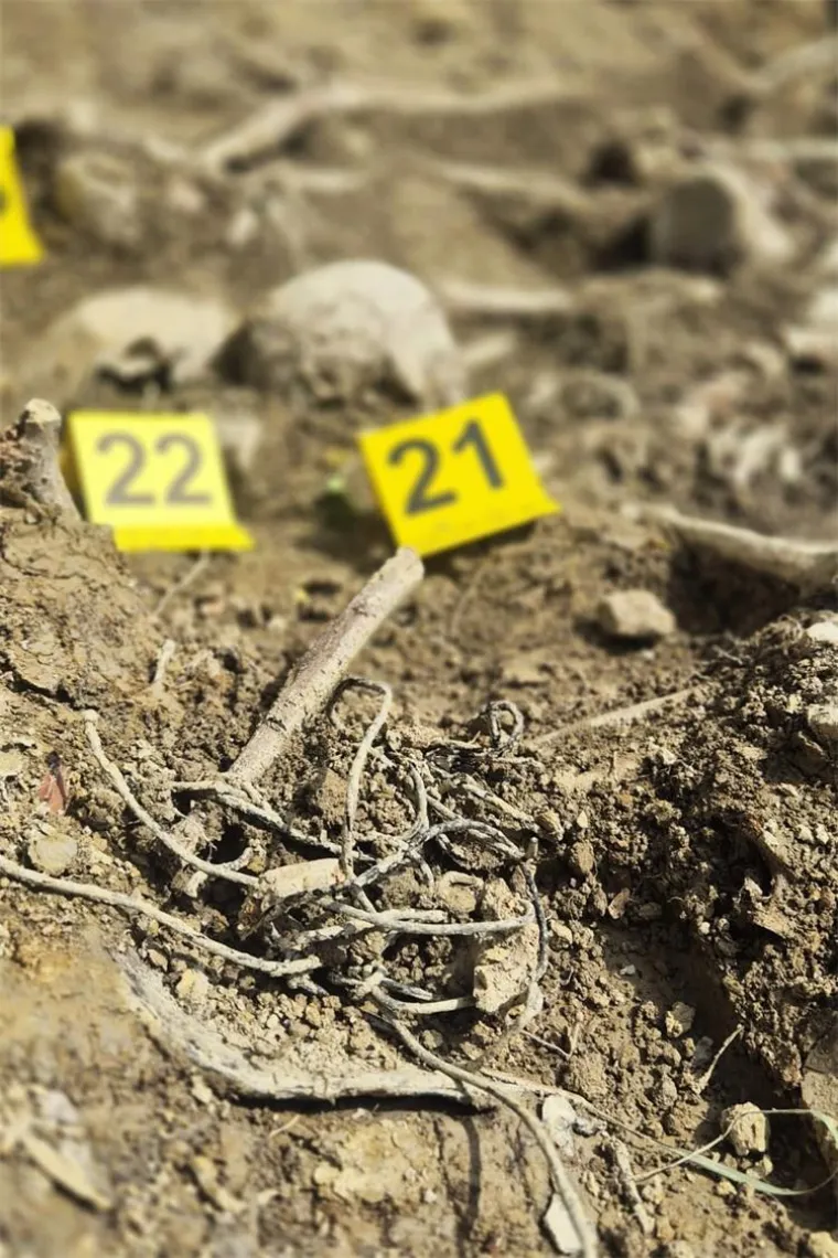 Uznemirujuće otkriće u Dubravi: Prona&scaron;li jo&scaron; jednu masovnu grobnicu, detalji o smrti 29 ljudi su jezivi