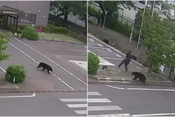 Medvjed ozlijedio četvero ljudi: Procurile snimke napada, građanima izdano upozorenje