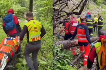 Medvjed napao Slovaka (37) i te&scaron;ko ga ozlijedio: Ovo je treći put da je preživio susret sa zvijeri!