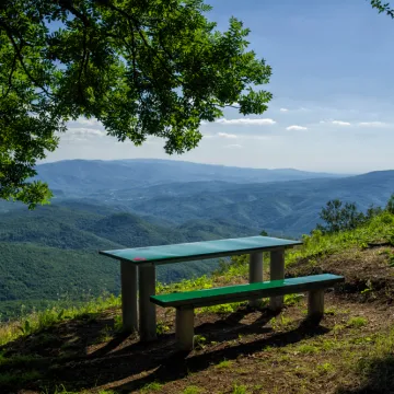 U srcu Slavonije skriva se planina koja je nekoć bila otok: Posjetite živi udžbenik geologije