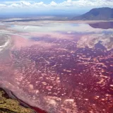 Krvavo jezero skriva prirodni fenomen: Fotografije koje obilaze svijet lede krv u žilama