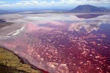 Krvavo jezero skriva prirodni fenomen: Fotografije koje obilaze svijet lede krv u žilama