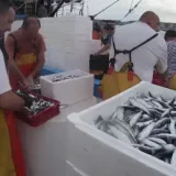 U ribarskim mrežama sve je manje ribe: Za&scaron;to je tome tako?
