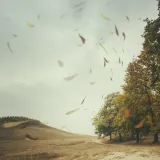 [KVIZ] Znate sve o vjetrovima? Onda je vrijeme da to dokažete na ovim pitanjima