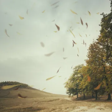 [KVIZ] Znate sve o vjetrovima? Onda je vrijeme da to dokažete na ovim pitanjima