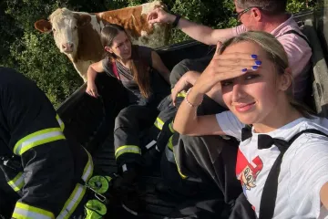 Vatrogasci krenuli spa&scaron;avati kravu, ona ih pretekla! Ostao im 'samo' mulj
