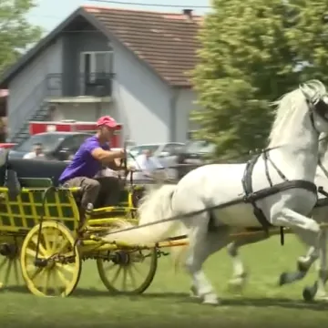 U Babinoj Gredi vezivali repove i sklapali kola: 'Bolje ne može!'