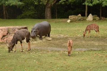 [KVIZ] Ako se smatra&scaron; velikim znalcem, oku&scaron;aj se na pitanjima o fauni svijeta