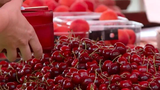 Prije mjesec dana bile su 20, a danas ko&scaron;taju dva eura: Kako je do&scaron;lo do takvog pada?