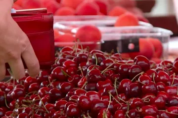 Prije mjesec dana bile su 20, a danas ko&scaron;taju dva eura: Kako je do&scaron;lo do takvog pada?