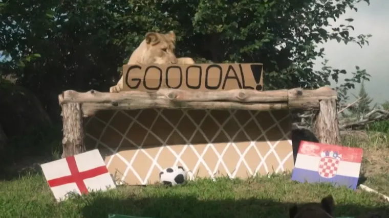 Lavice prognozirale pobjednika spektakla u Dallasu: 'Englezi će plakati'