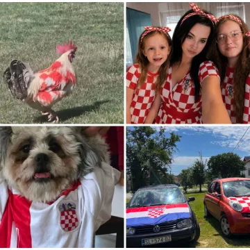 Ludi ste! U kockice ste obukli pse, automobile i kuće: Ovo su najbolje fotografije