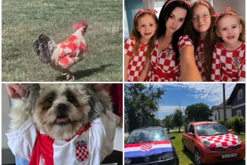 Ludi ste! U kockice ste obukli pse, automobile i kuće: Ovo su najbolje fotografije
