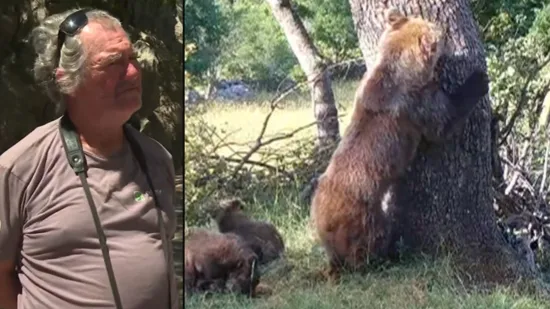 Biolog doživio opasan scenarij, ispričao nam je detalje: 'Medvjedica me gledala'