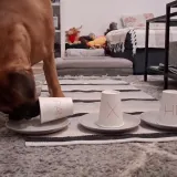 Pogodila je ishod utakmice s Englezima, sada je bokserica Rajli dala novu prognozu: Tko će pobijediti?