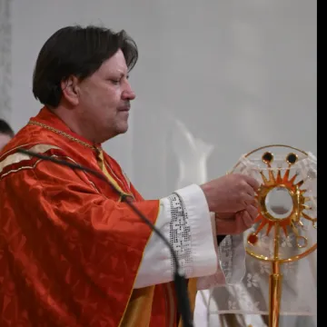 Nezapamćena tragedija tijekom svete mise: Svećenika ubola osa, preminuo je!