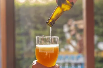 Srbi upali u probleme na njemačkom jezeru: Bebi i djetetu (3) dali pivo