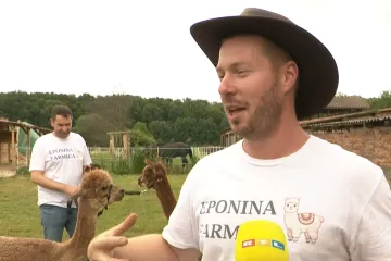 Slavonska farma dobila novu zvijezdu: Pogledajte čime osvaja sve oko sebe