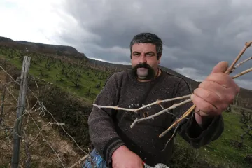 Bio je jedna od najomiljenijih sudionika showa 'Ljubav je na selu', evo gdje je danas Goran Žigo
