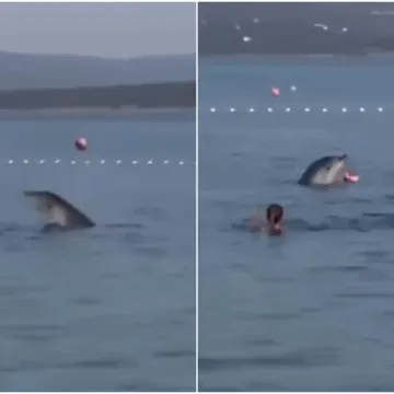 Nevjerojatan prizor kod Zadra: Dupin se igrao loptom s kupačima, video je odu&scaron;evio internet