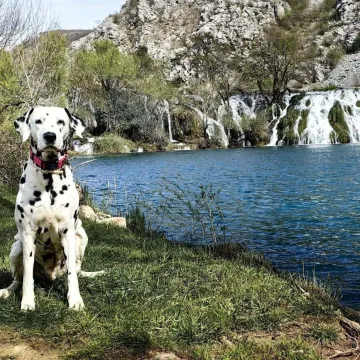 Elegantni, odani i neodoljivi: Ovih 40 ljepotana osvojit će vas na prvi pogled