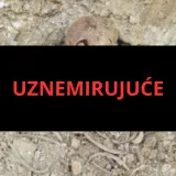 Ministarstvo branitelja o kostima pronađenima u Slavoniji: 'Starije su od 100 godina'