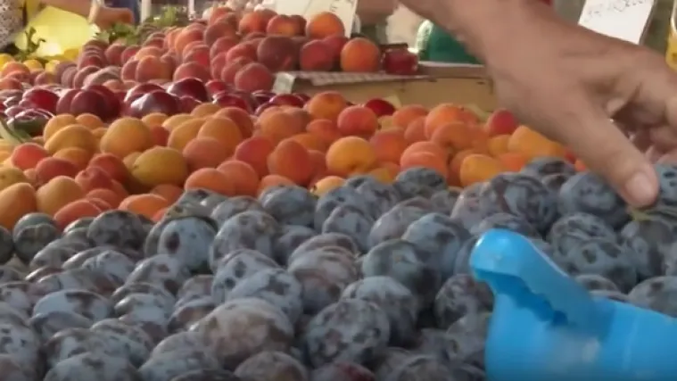 Omiljeno voće stiglo na tržnice, ovo su cijene: 'Da to preračunamo u nekada&scaron;nje kune...'