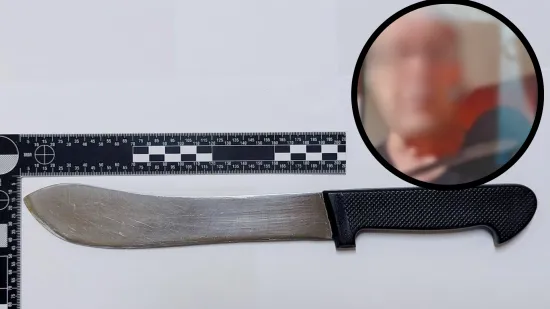 Uhićen mu&scaron;karac koji je prijetio smrću Vučiću. Mahao je nožem: 'Skinut ću ti glavu'