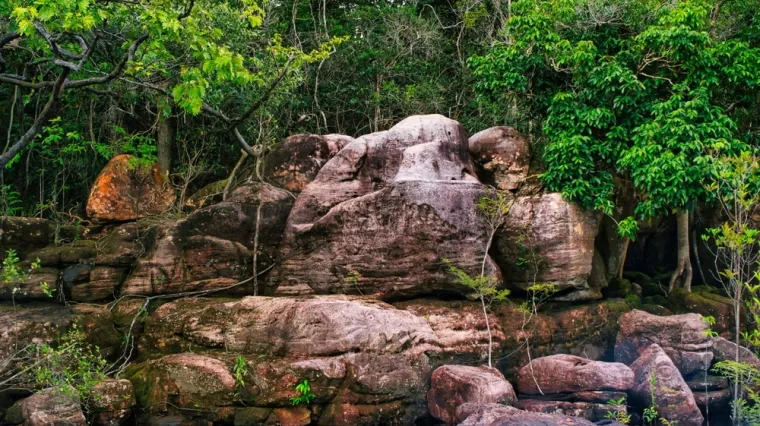 Tajanstvena civilizacija napravila na stotine golemih struktura u amazonskoj pra&scaron;umi