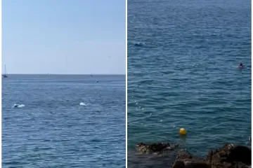 Iskakale iz mora! Tune iznenadile kupače na Verudeli: Ali, brinu komentari ispod snimke